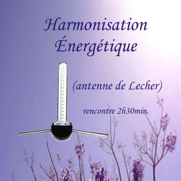Accompagnement Énergétique (antenne de Lecher)