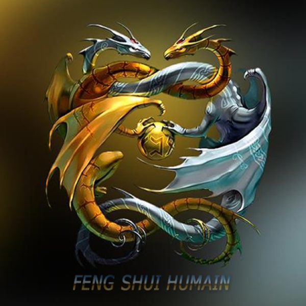 Feng Shui Humain