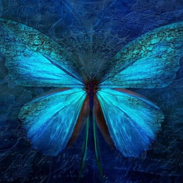 Lecture de l'âme et soin angélique zoom