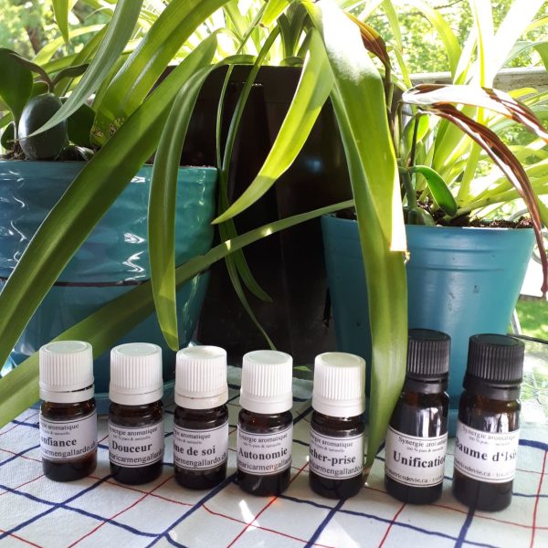 Synergies Vibratoires